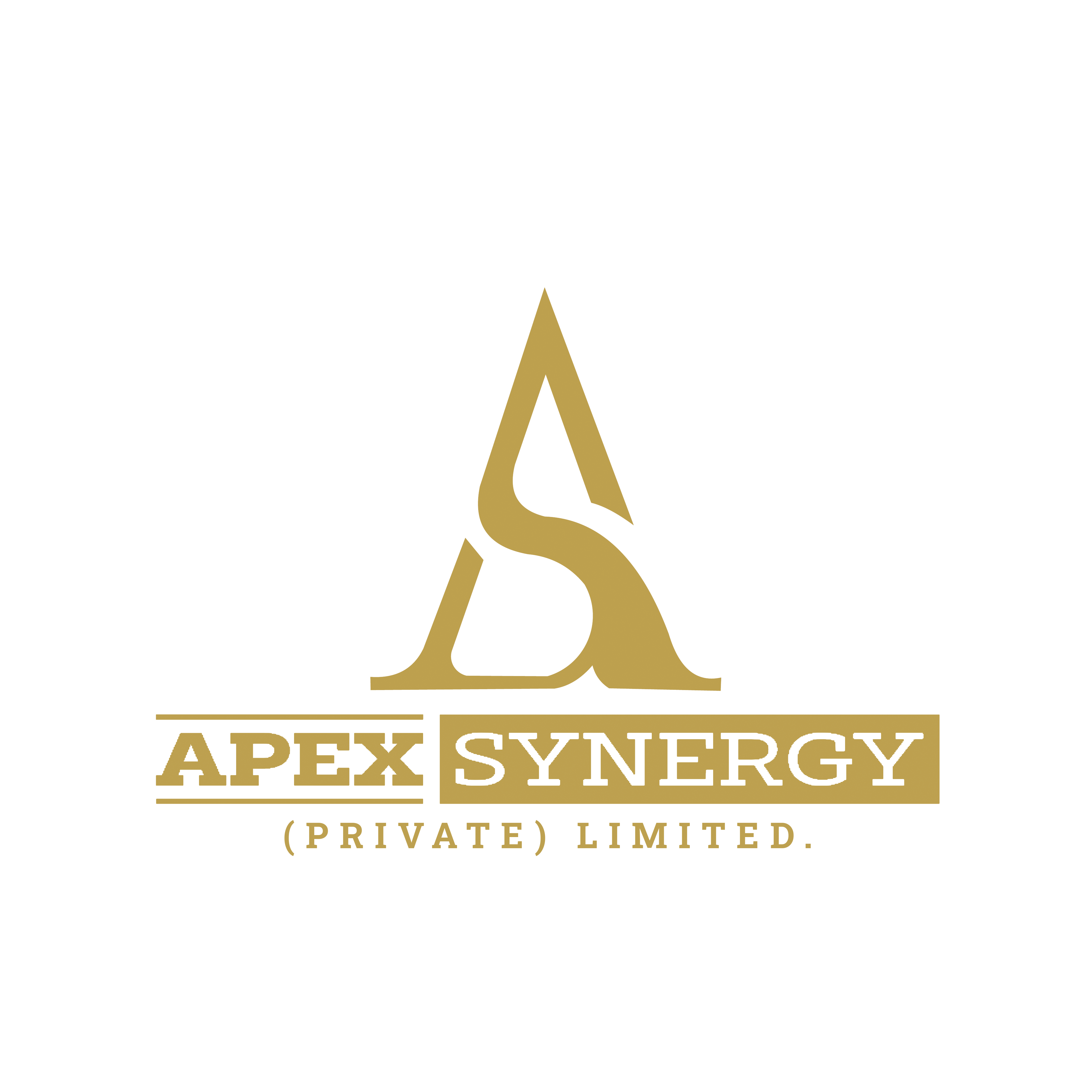 Apex Synergy Logo